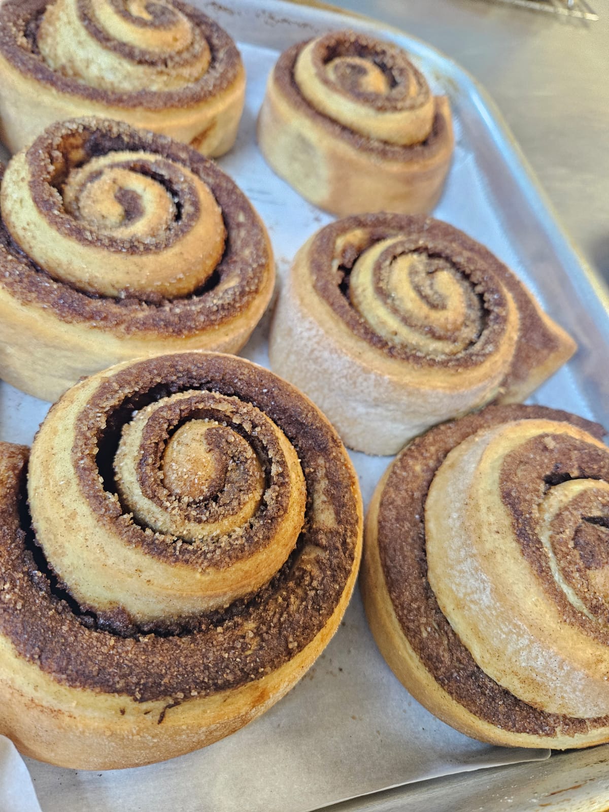 Cinnamon Roll